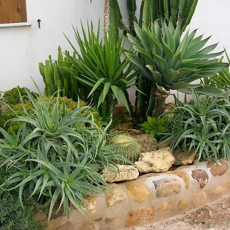 Bed & Breakfast Baglio San Clemente *